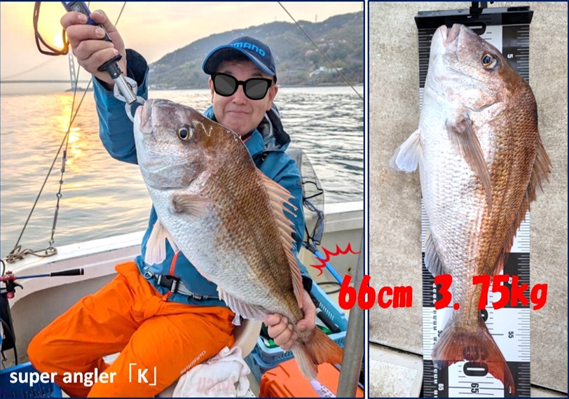 鯛