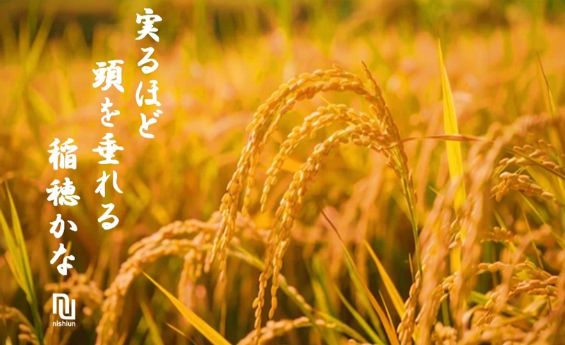 実るほど 頭を垂れる 稲穂かな