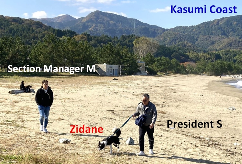 kasumi Coast