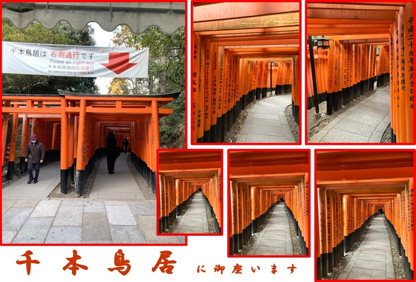 千本鳥居
