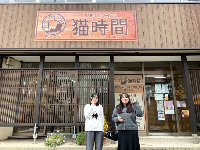 猫時間