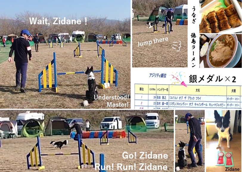 アジリティー競技会